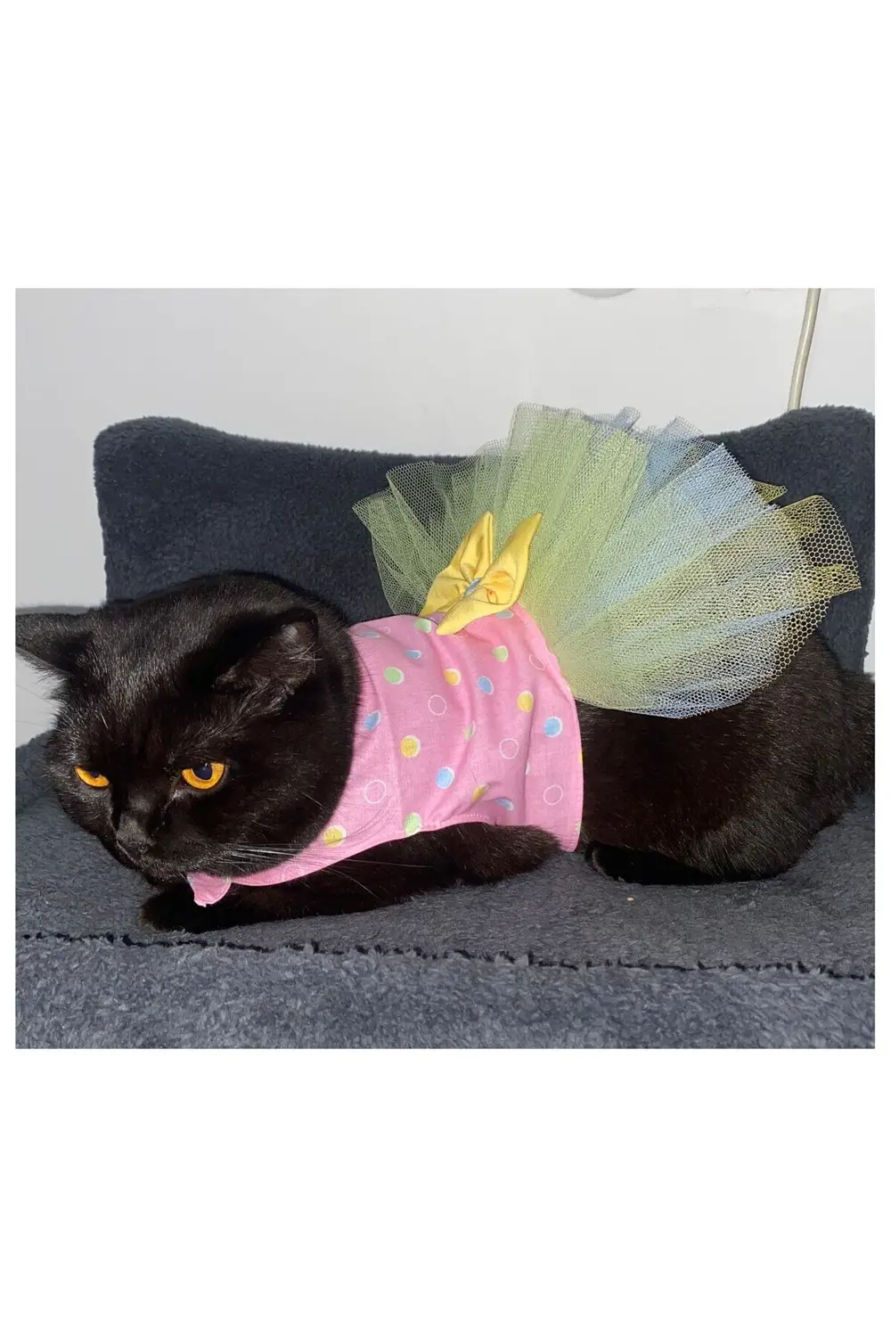Renkli Puantiyeli Sarı Papyonlu Pembe Dişi Kedi Köpek Kıyafeti El