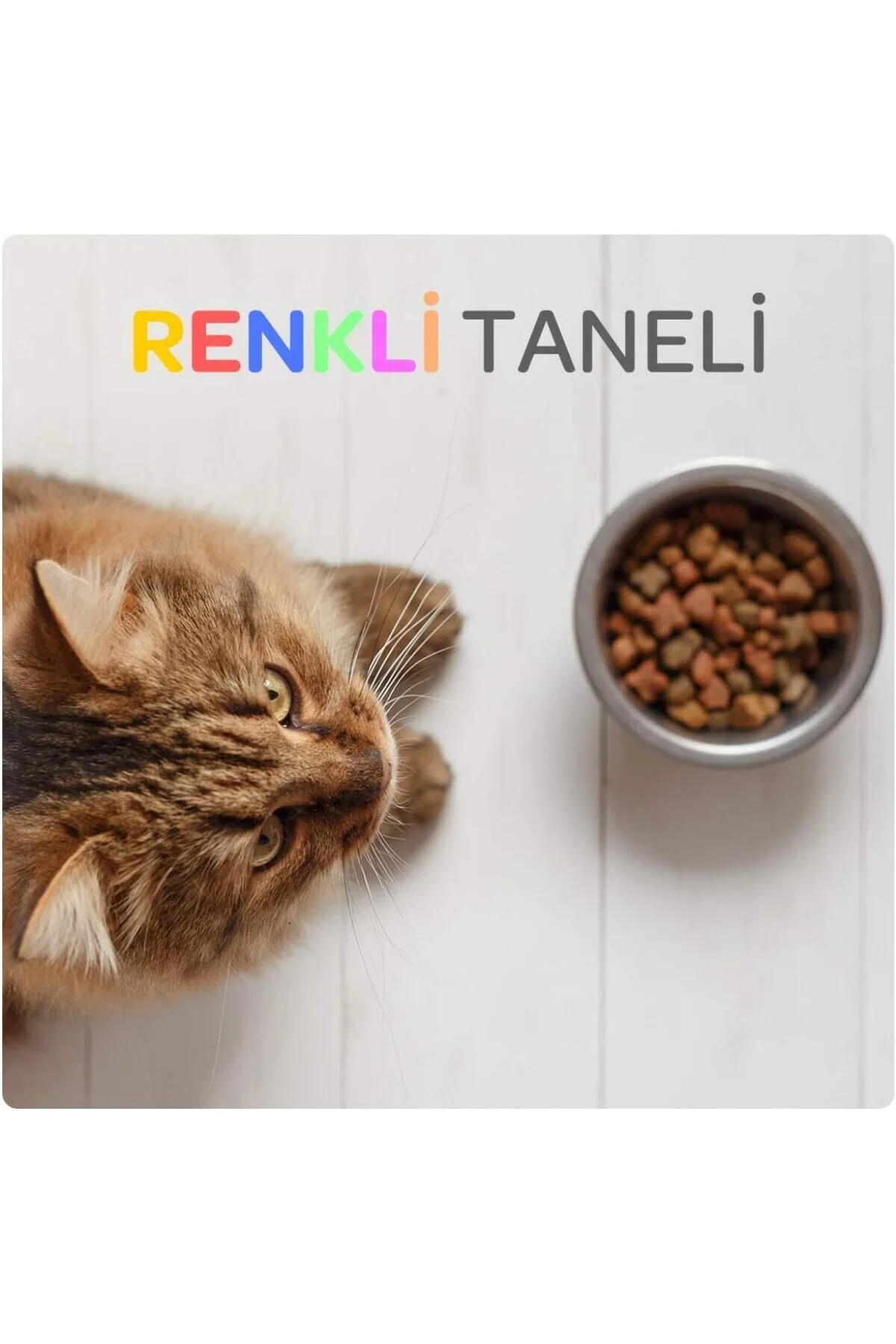 Renkli Taneli Tavuklu Kedi Maması 15 KG Renkli Taneli Tavuklu Kedi Maması 15 KG
