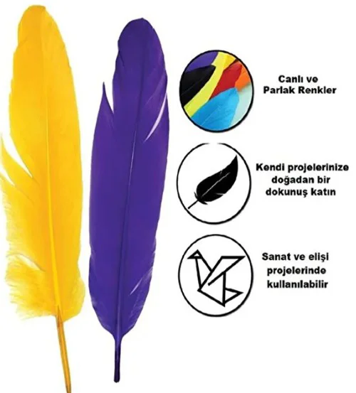 Renkli Tüy El İşi Tüyleri Okul Öncesi Etkinlik Tüy 10 lu - 1 Pake