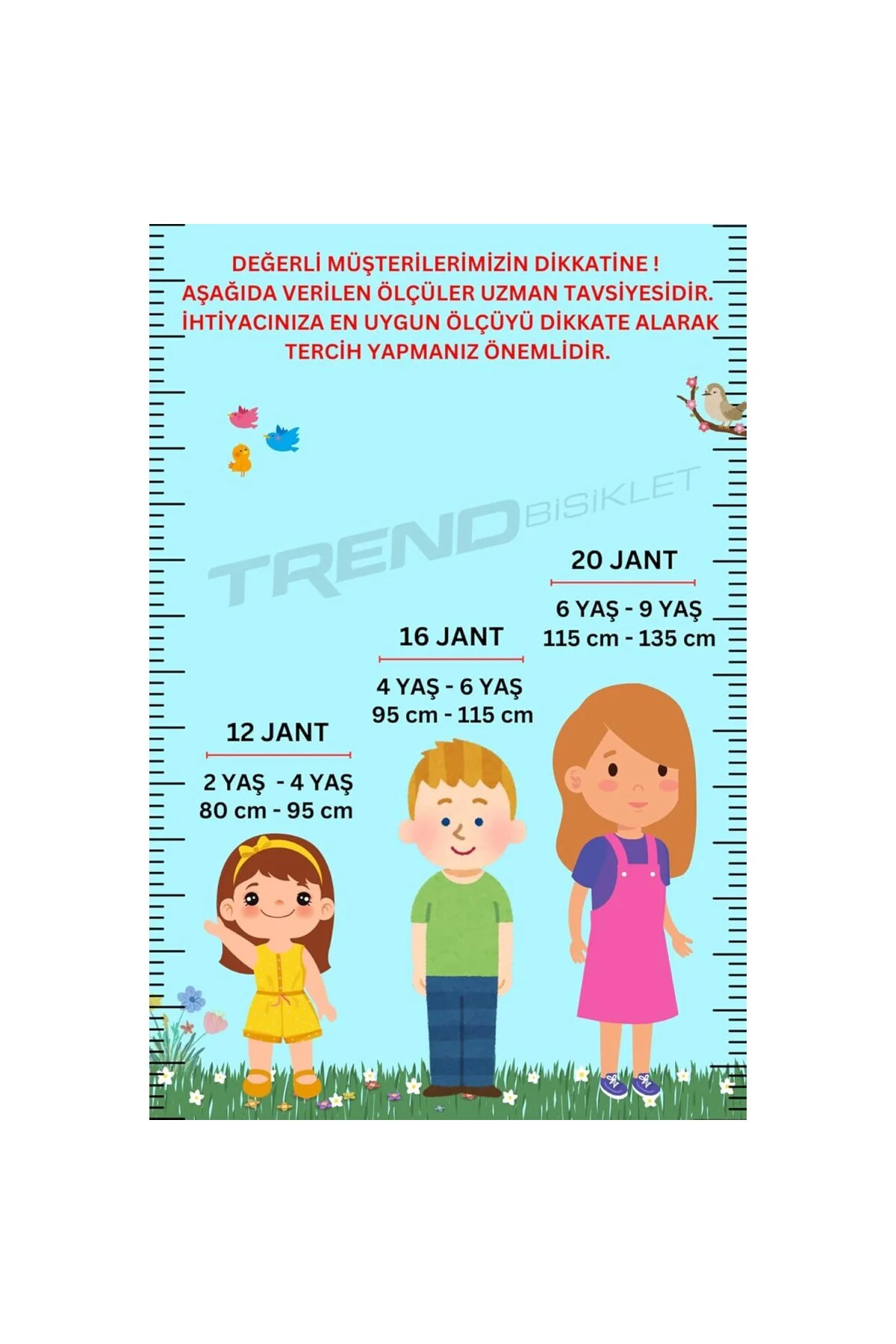 Retro Classic Özel Seri, Hasır Örme Sepetli, Deri Elcikli 20 Jant