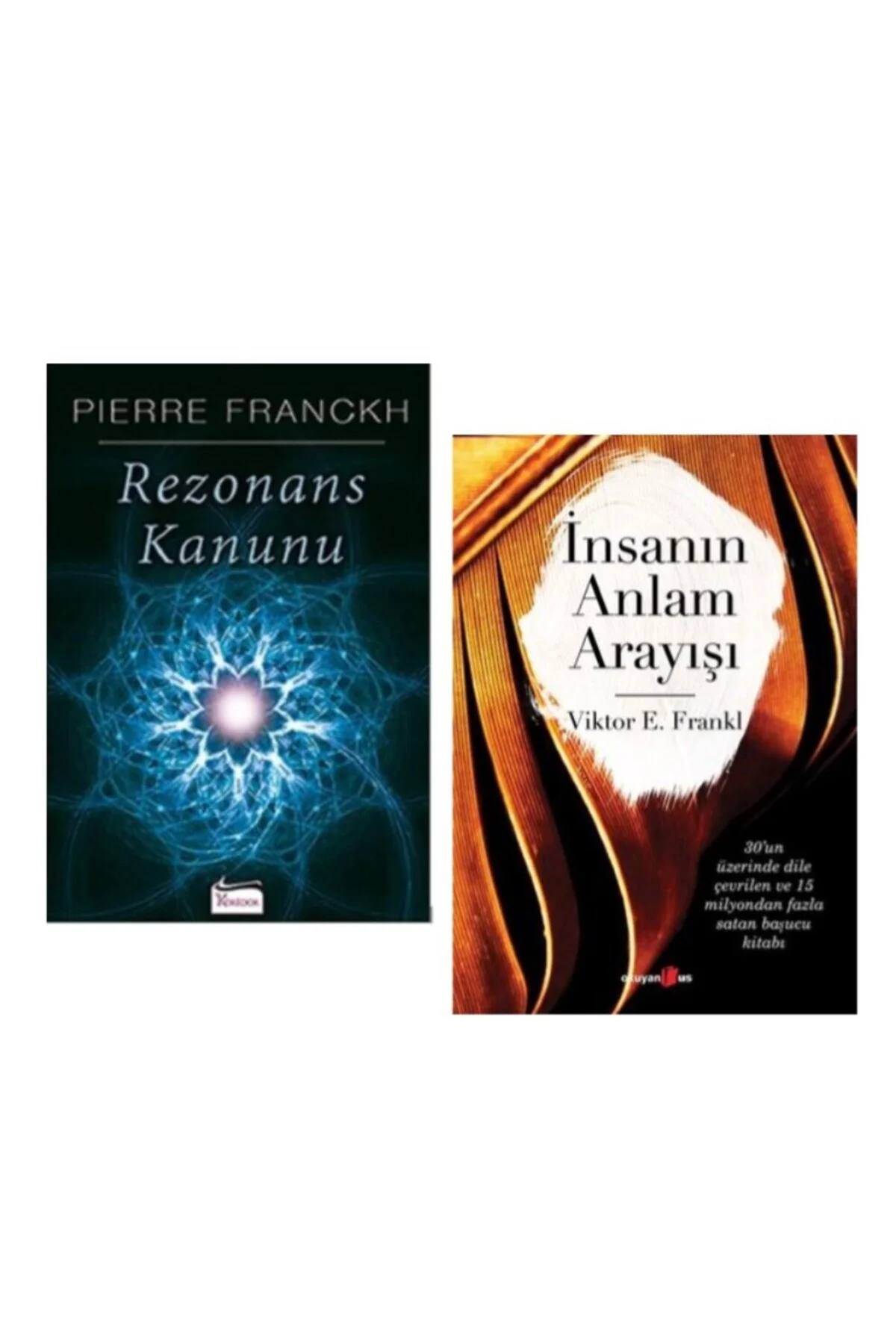 Rezonans Kanunu - İnsanın Anlam Arayışı