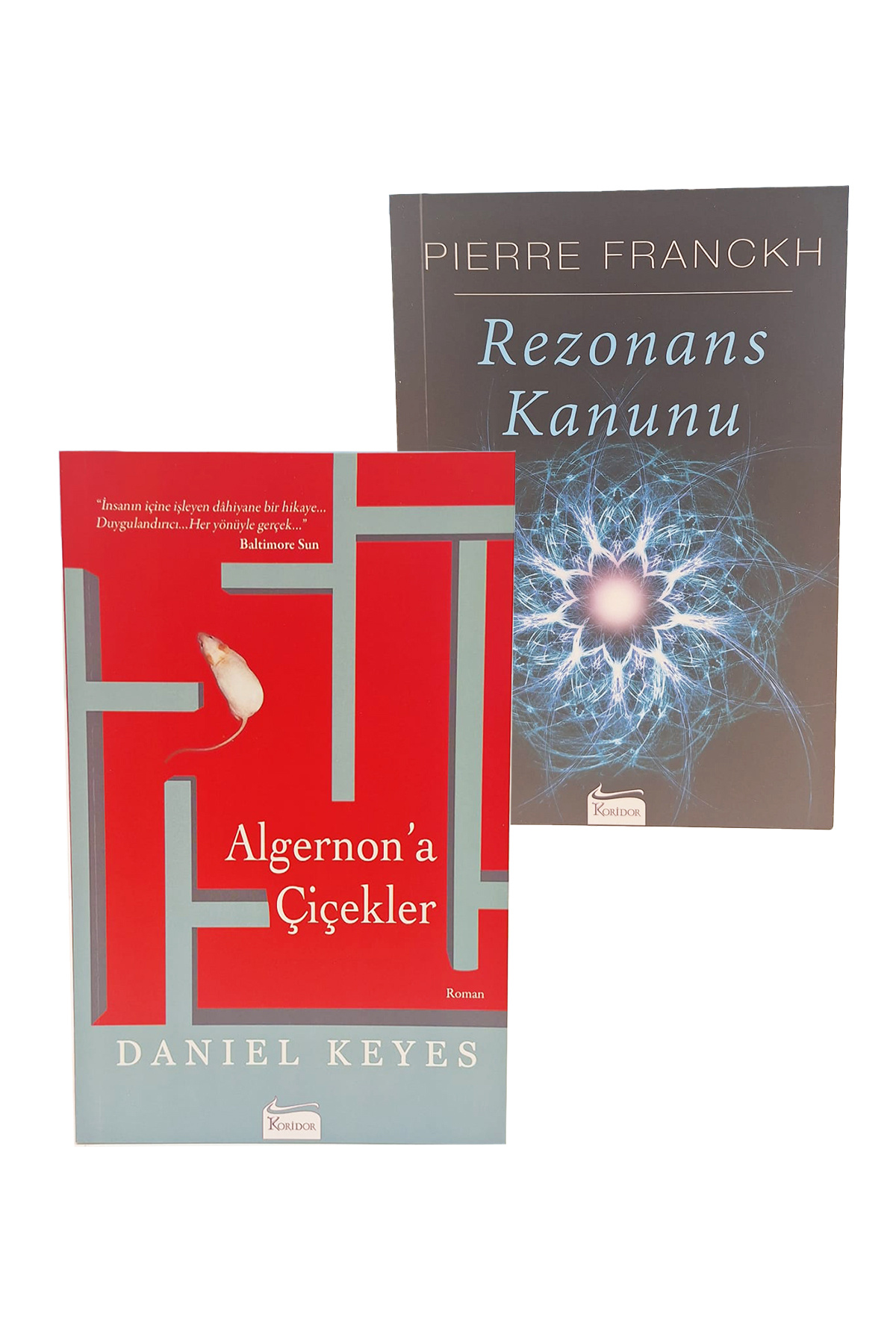 Rezonans Kanunu ve Algernon'a Çiçekler Pierre Franckh-Danıel Keye