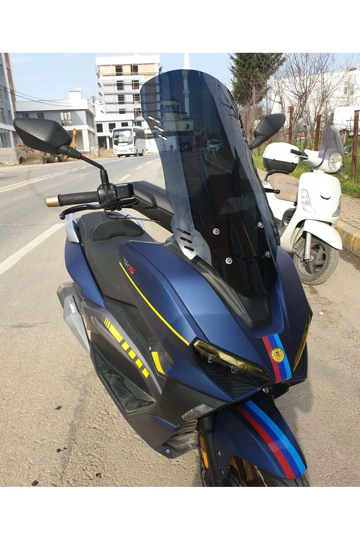 RKS Vieste 249 Ön Cam 2022-2026 Model 75cm Siyah Renkli 4mm UZUN