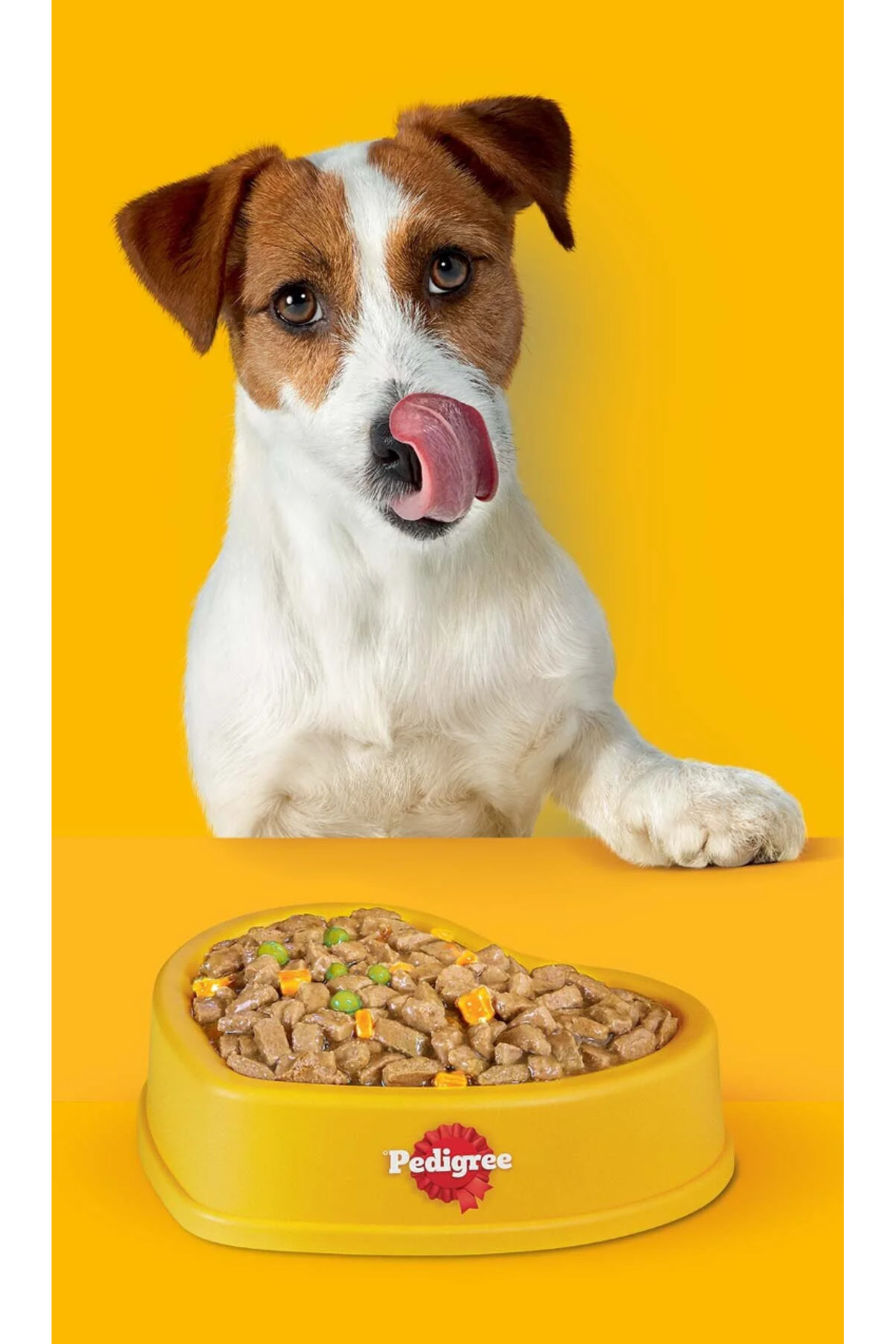 Rodeo Sığırlı Köpek Ödül Maması 4'lü 70 g