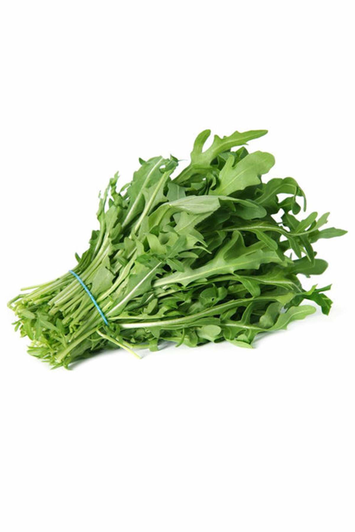 Just Cheap Store Roka Tohumu 10 Gr