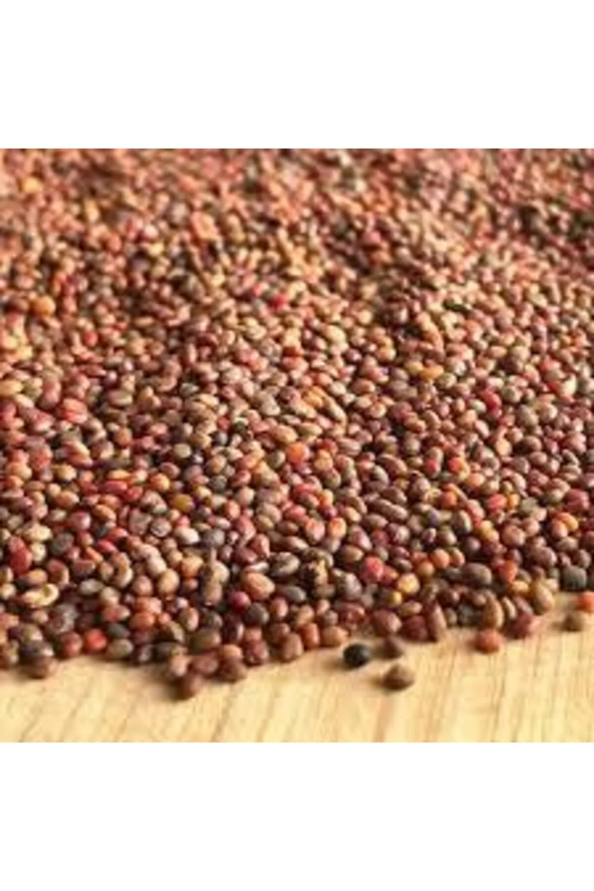 Roka Tohumu 100 gr Fiyatı, Yorumları ve Özellikleri