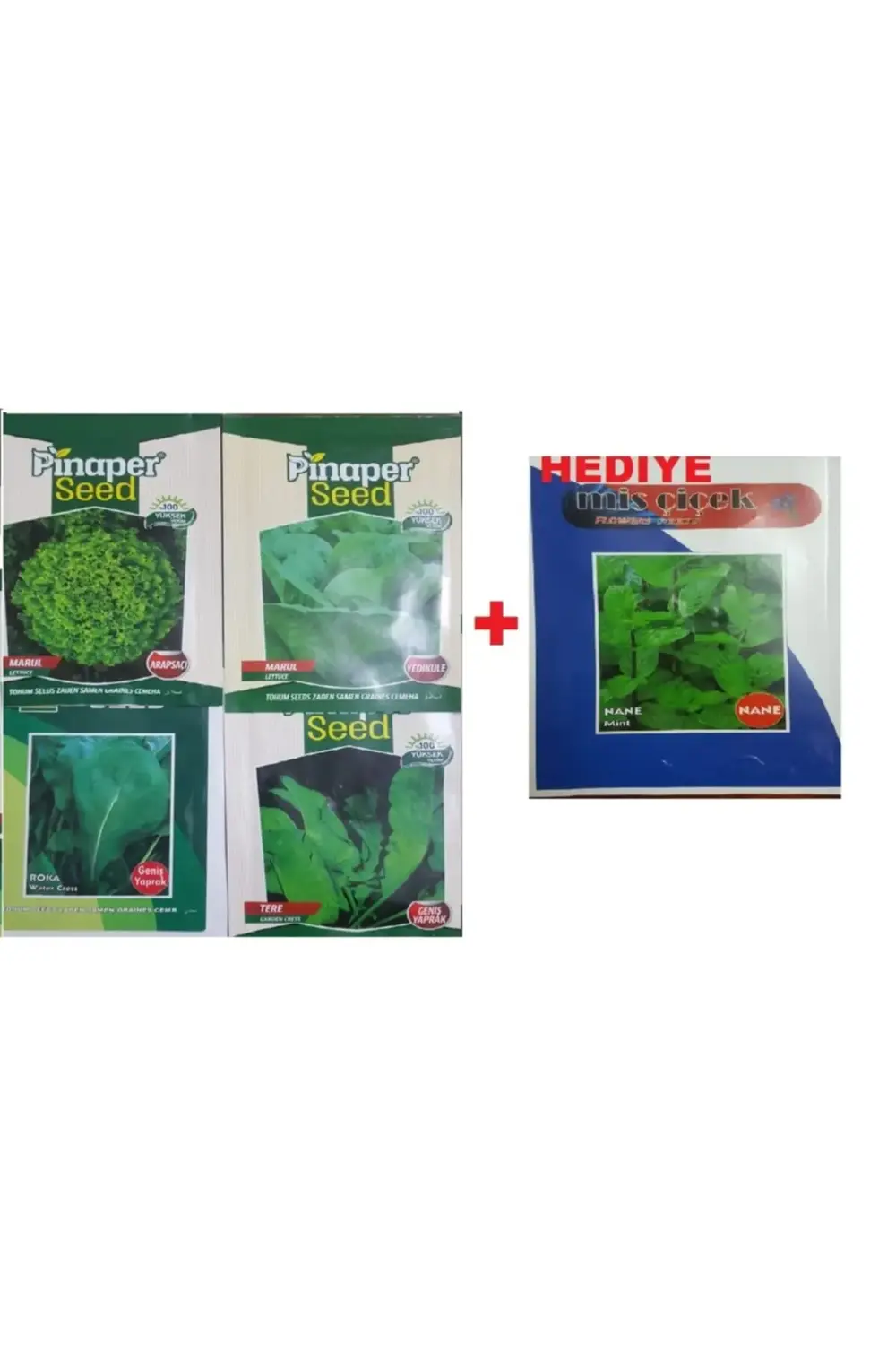 Roka Tohumu - Marul (arapsaçı)tohumu - Marul Tohumu - Tere Tohumu