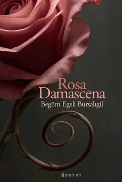 Rosa Damascena (Damask Gülü) Fiyatı, Yorumları ve Özellikleri