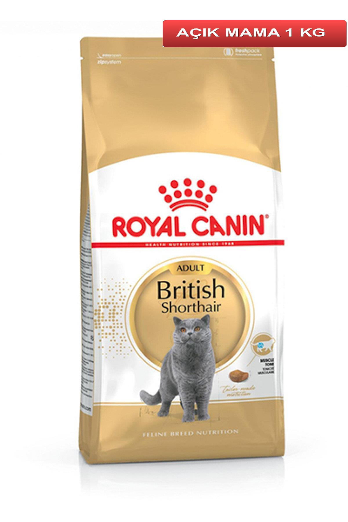 Royal Canin Adult British Shorthair Kedi Maması 1 Kg AÇIK Royal Canin Adult British Shorthair Kedi Maması 1 Kg AÇIK