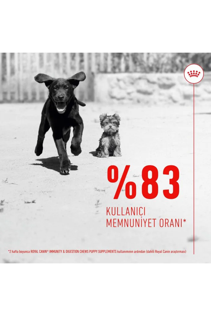 Royal Canin Bağışıklık ve Sindirim Sistemi Destekleyici Yavru Köp