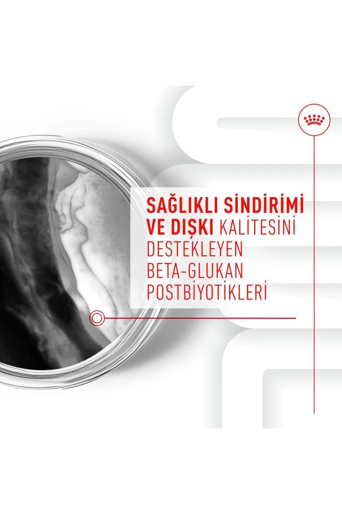 Royal Canin Bağışıklık ve Sindirim Sistemi Destekleyici Yavru Köp