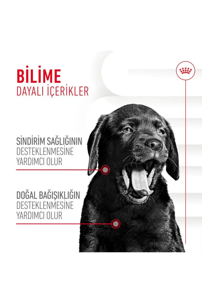Royal Canin Bağışıklık ve Sindirim Sistemi Destekleyici Yavru Köp