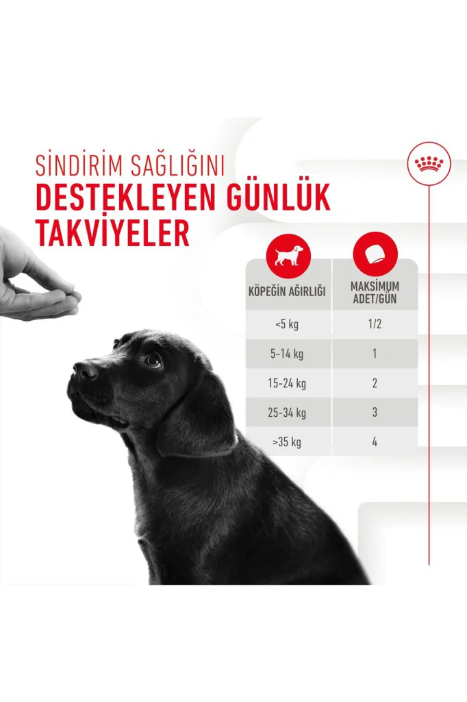 Royal Canin Bağışıklık ve Sindirim Sistemi Destekleyici Yavru Köp