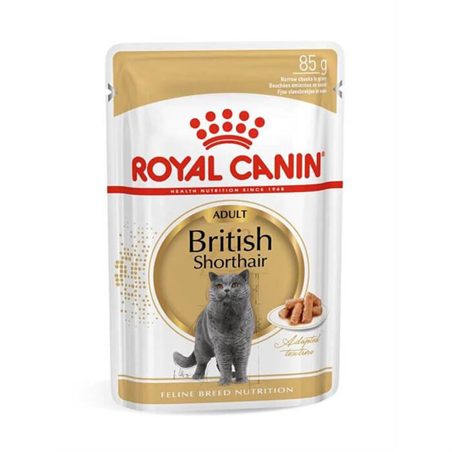 Royal Canin British Shorthair Kedi Konservesi 85 gr