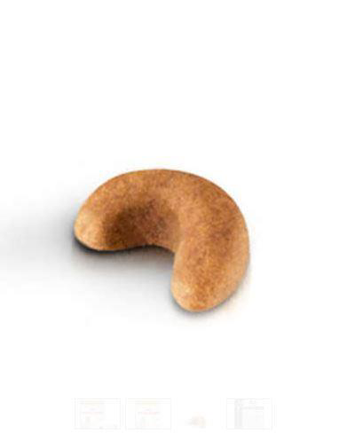 Royal Canin Cocker Junior Yavru Köpek Maması 3 Kg