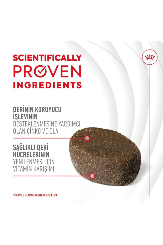 Royal Canin Deri ve Tüy Sağlığı Destekleyici Yetişkin Köpek Ödül 