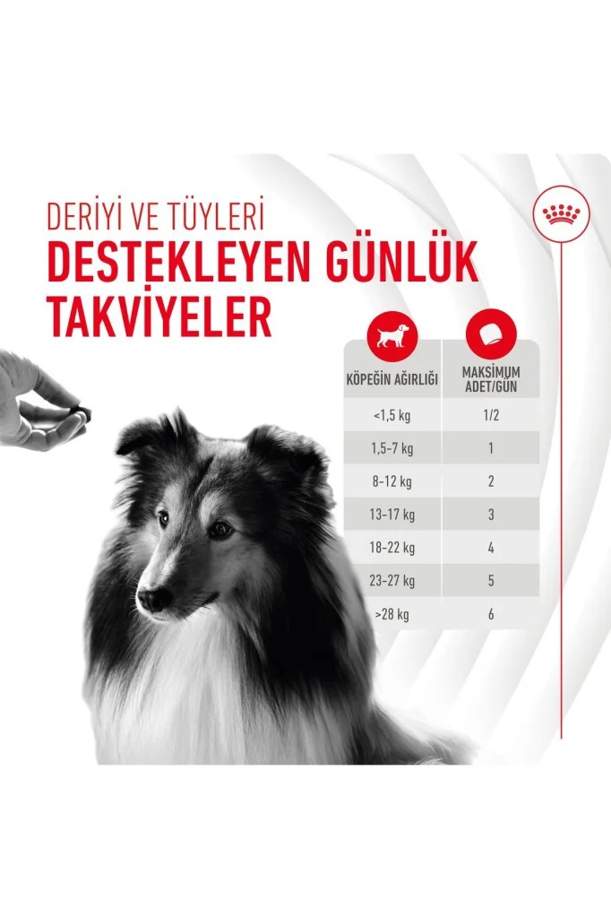Royal Canin Deri ve Tüy Sağlığı Destekleyici Yetişkin Köpek Ödül 