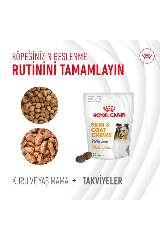 Royal Canin Deri ve Tüy Sağlığı Destekleyici Yetişkin Köpek Ödül 