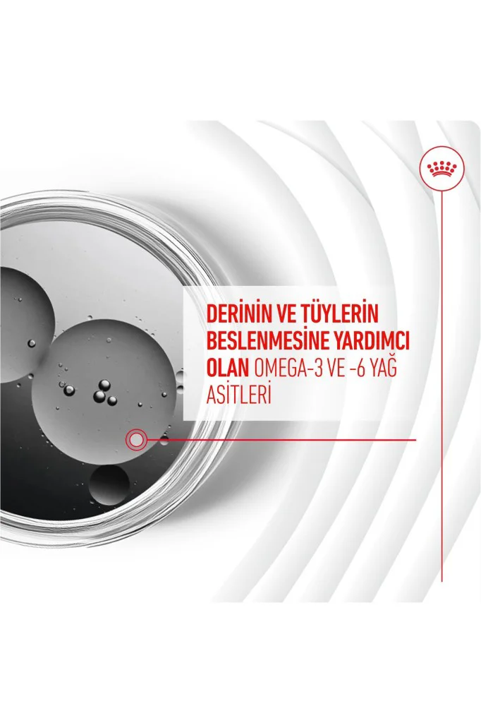 Royal Canin Deri ve Tüy Sağlığı Destekleyici Yetişkin Köpek Ödül 