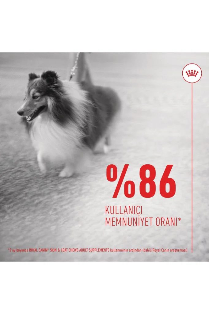 Royal Canin Deri ve Tüy Sağlığı Destekleyici Yetişkin Köpek Ödül 