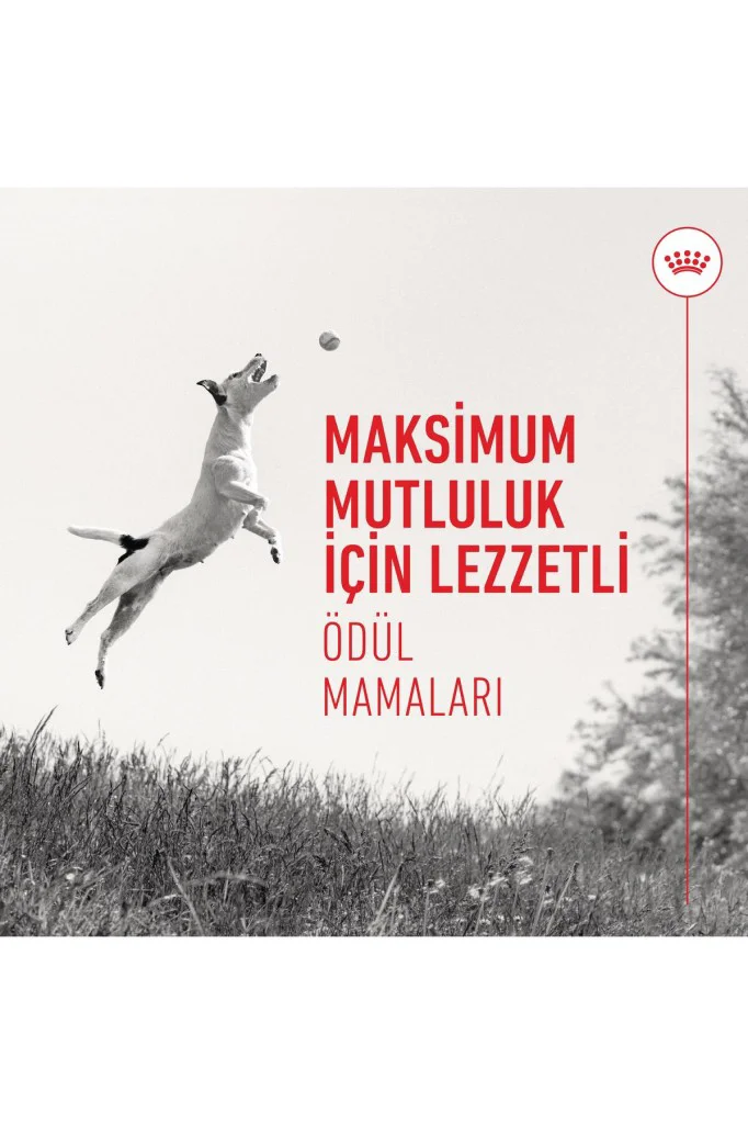 Royal Canin Eğitim İçin Yavru Köpek Ödül Maması 110gr