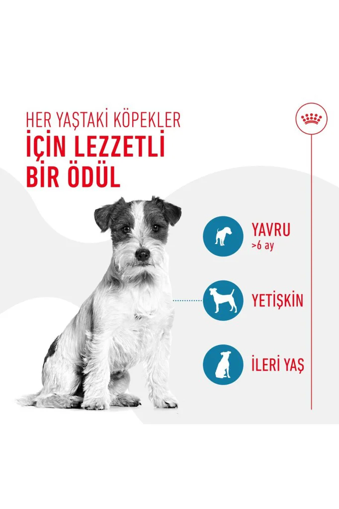 Royal Canin Eğitim İçin Yavru Köpek Ödül Maması 110gr