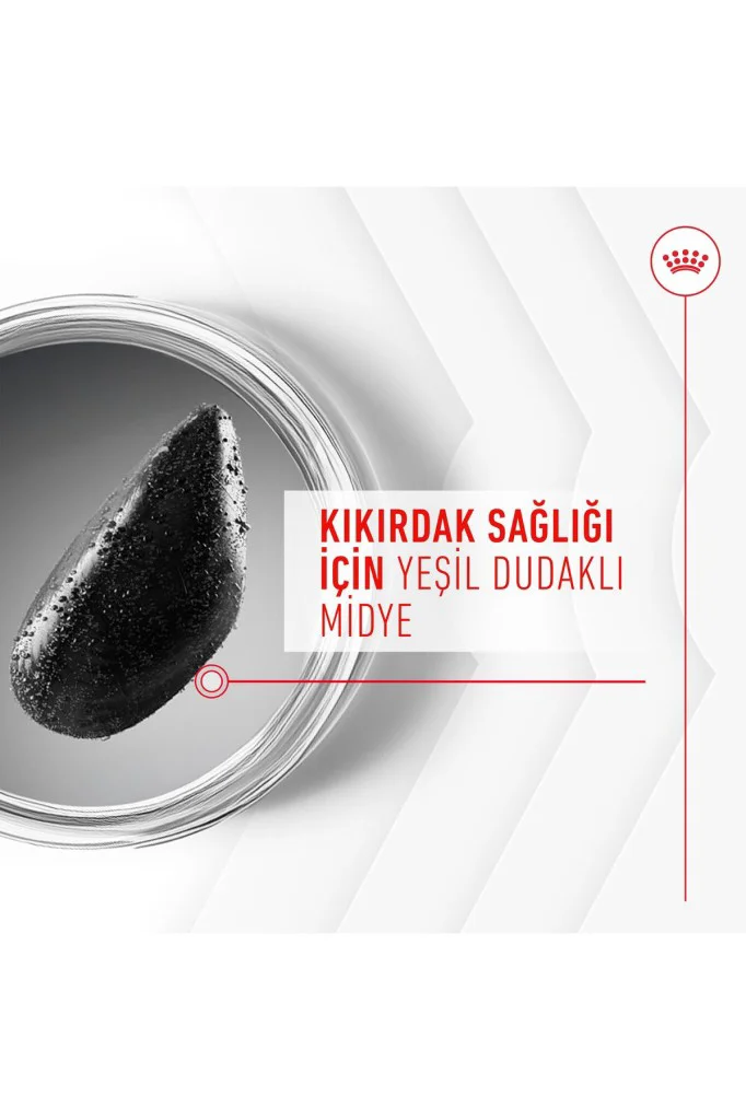 Royal Canin Eklem ve Sağlıklı Yaşlanma Destekli Yetişkin Köpek Öd