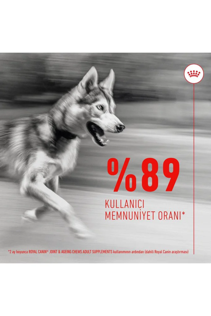 Royal Canin Eklem ve Sağlıklı Yaşlanma Destekli Yetişkin Köpek Öd