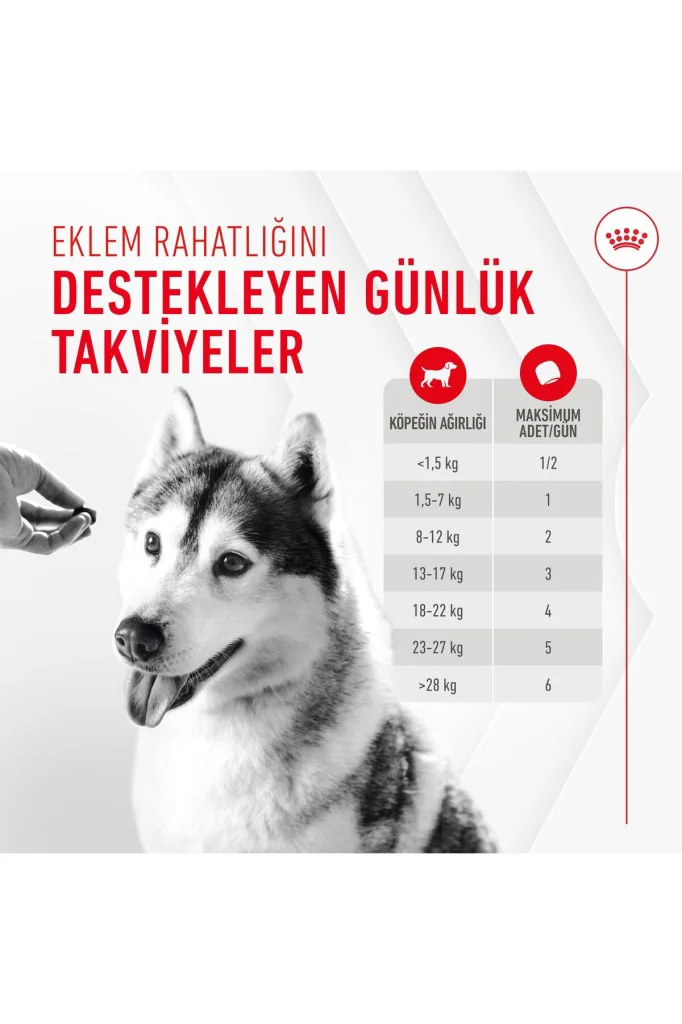 Royal Canin Eklem ve Sağlıklı Yaşlanma Destekli Yetişkin Köpek Öd