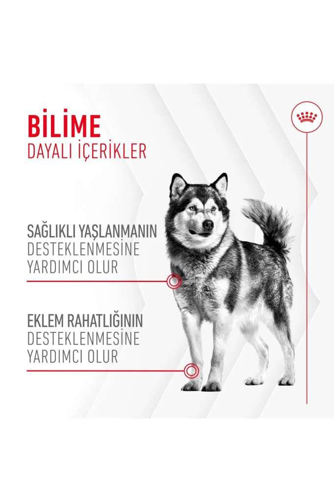Royal Canin Eklem ve Sağlıklı Yaşlanma Destekli Yetişkin Köpek Öd