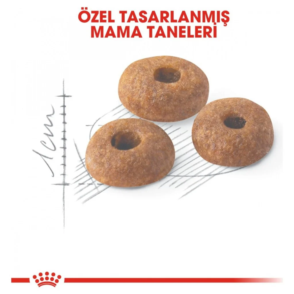 Royal Canin Fit 32 Yetişkin Kedi Maması 400 Gr Royal Canin Fit 32 Yetişkin Kedi Maması 400 Gr