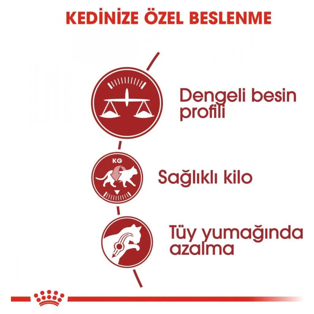 Royal Canin Fit 32 Yetişkin Kedi Maması 400 Gr Royal Canin Fit 32 Yetişkin Kedi Maması 400 Gr