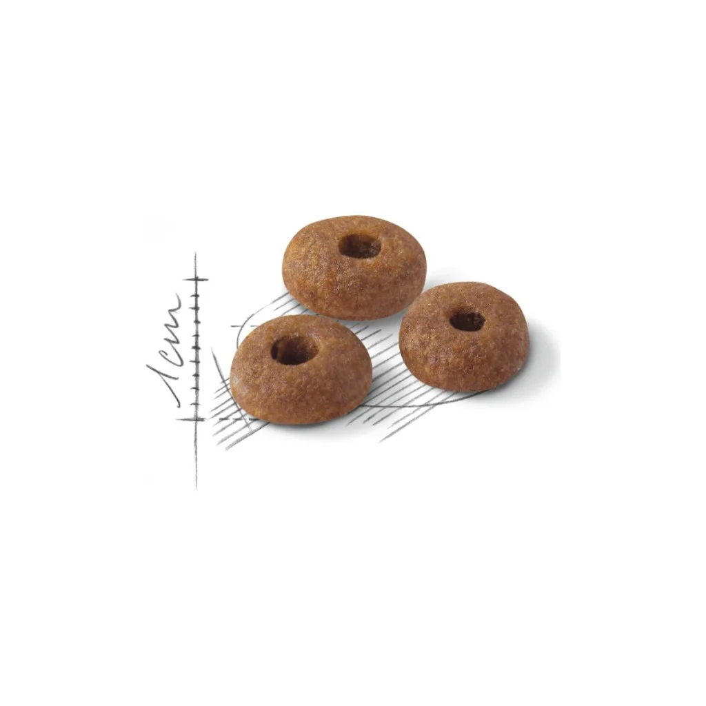 Royal Canin Fit 32 Yetişkin Kedi Maması 400 Gr Royal Canin Fit 32 Yetişkin Kedi Maması 400 Gr