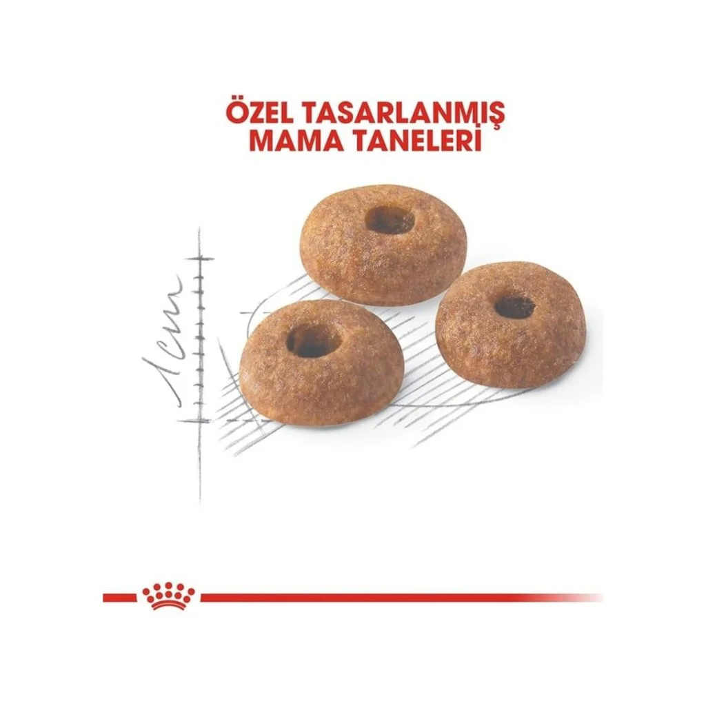 Royal Canin Fit 32 Yetişkin Kedi Maması 400 Gr Royal Canin Fit 32 Yetişkin Kedi Maması 400 Gr