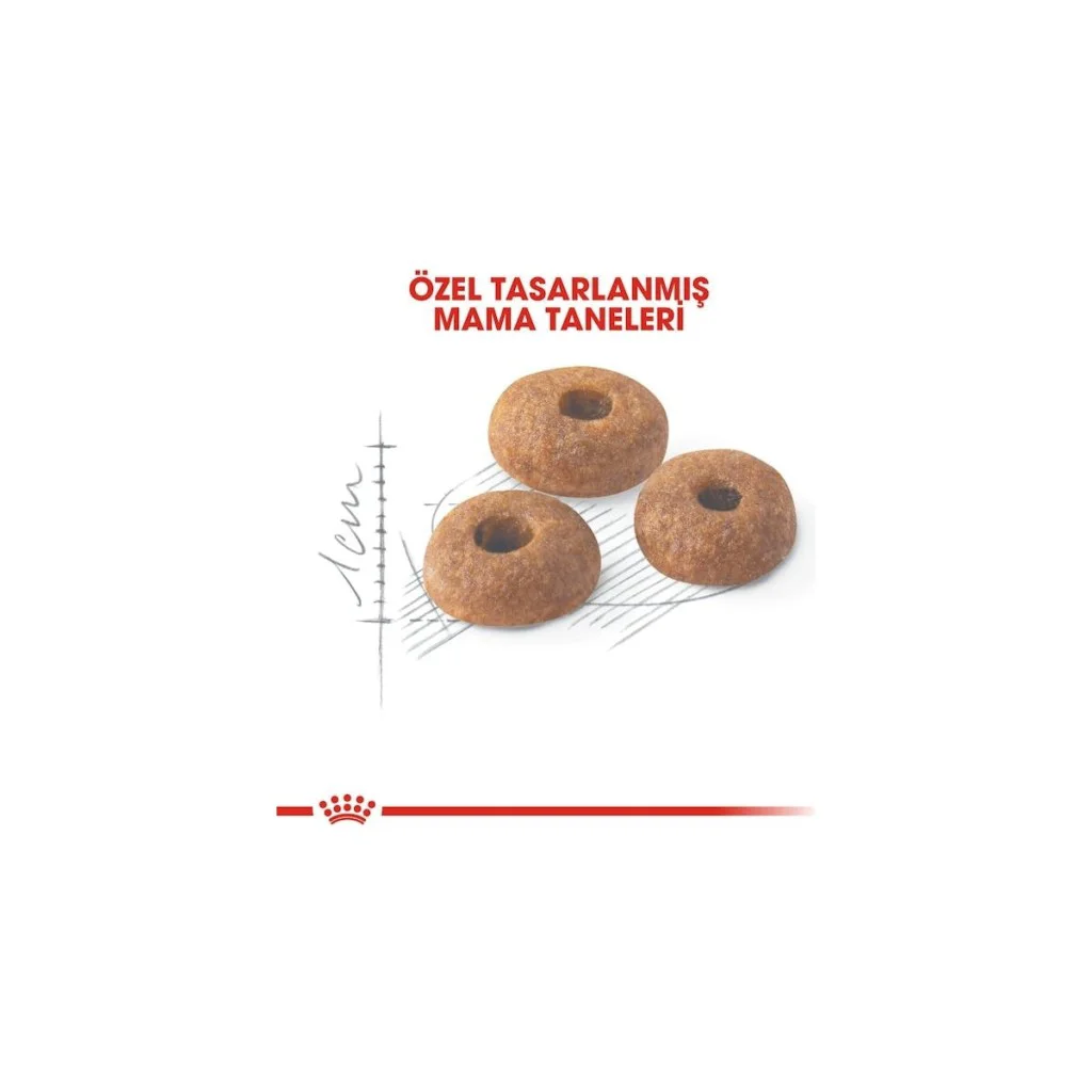 Royal Canin Fit 32 Yetişkin Kedi Maması 400 Gr Royal Canin Fit 32 Yetişkin Kedi Maması 400 Gr
