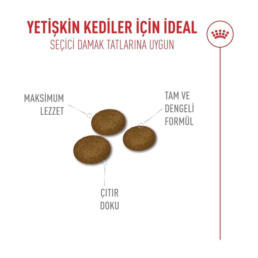 Royal Canin Fussy Savour Exigent Seçici Kedi Maması 400 Gr Royal Canin Fussy Savour Exigent Seçici Kedi Maması 400 Gr