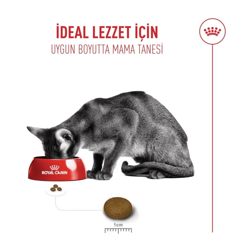 Royal Canin Fussy Savour Exigent Seçici Kedi Maması 400 Gr Royal Canin Fussy Savour Exigent Seçici Kedi Maması 400 Gr