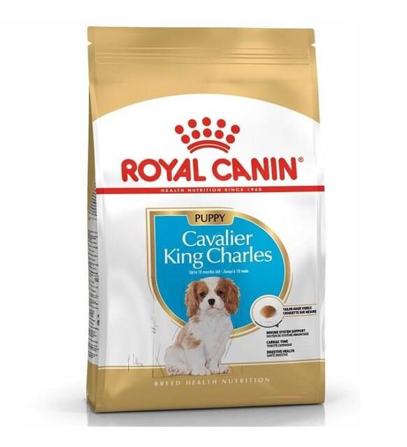 Royal Canin Junior Cavalier King Charles Yavru Köpek Maması 1,5 K Royal Canin Junior Cavalier King Charles Yavru Köpek Maması 1,5 K