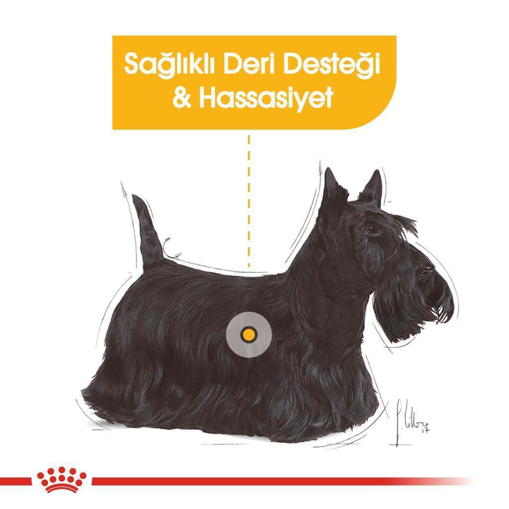 Royal Canin Mini Dermacomfort Köpek Maması 3 Kg