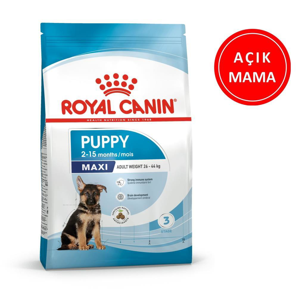 Royal Canin  Puppy Maxi Junior Yavru Köpek Maması 1 Kg Açik