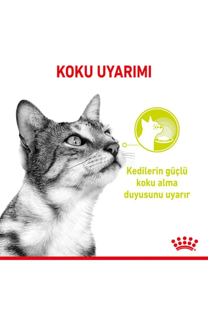 Royal Canin Sensory Smell Pouch Yaş Kedi Maması 85 Gr Royal Canin Sensory Smell Pouch Yaş Kedi Maması 85 Gr