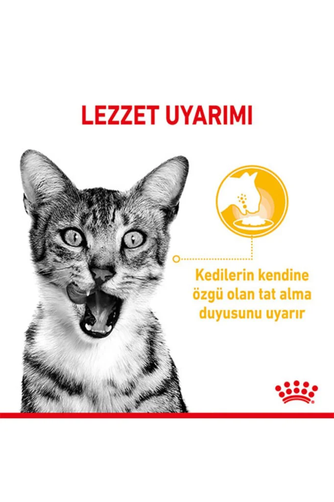 Royal Canin Sensory Taste Pouch Yaş Kedi Maması 85 Gr