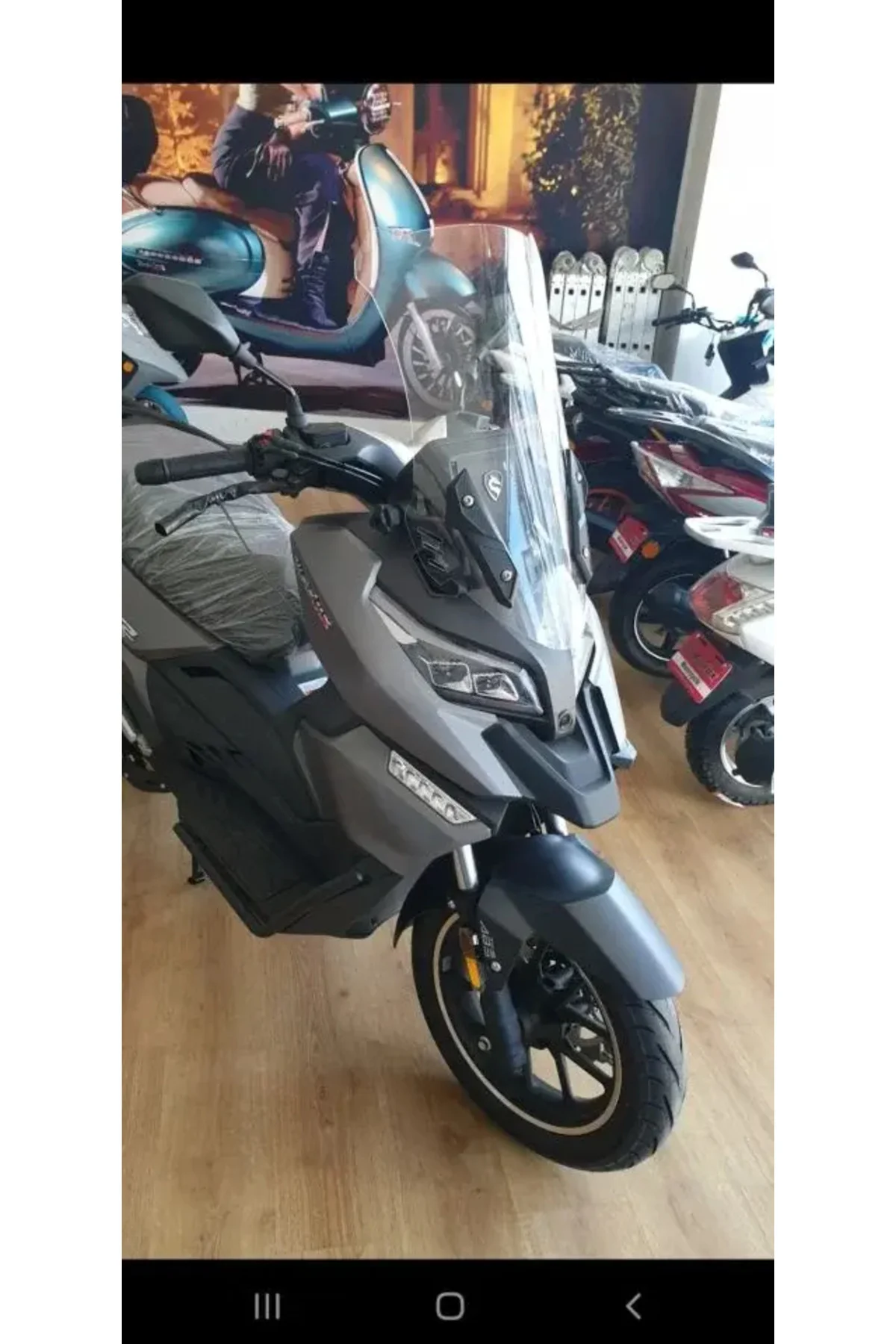 RT2 Ragner Ön Cam 2023-2026 Model 56cm Şeffaf Renkli 4mm UZUN