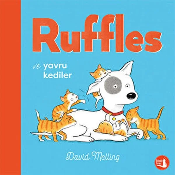 Ruffles ve Yavru Kediler Fiyatı, Yorumları ve Özellikleri