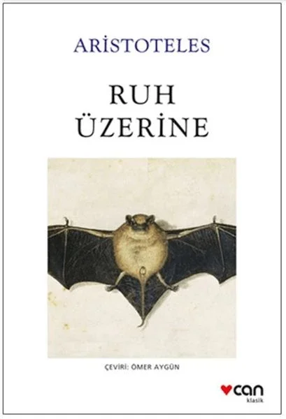 Ruh Üzerine Fiyatı, Yorumları ve Özellikleri