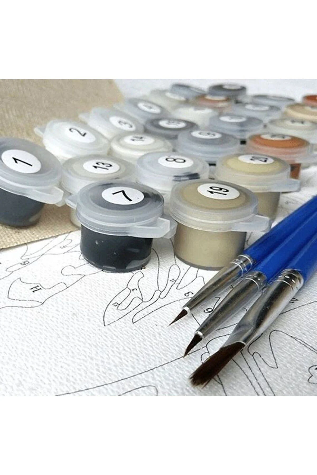 Rulo Çerçevesiz Kasnaksız Bez Canvas Renkli Menekşeler Sayılarla 