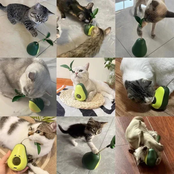 Runaway Avokado Şeklinde Naneli Mama Hazneli Kedi Oyuncağı Sallan