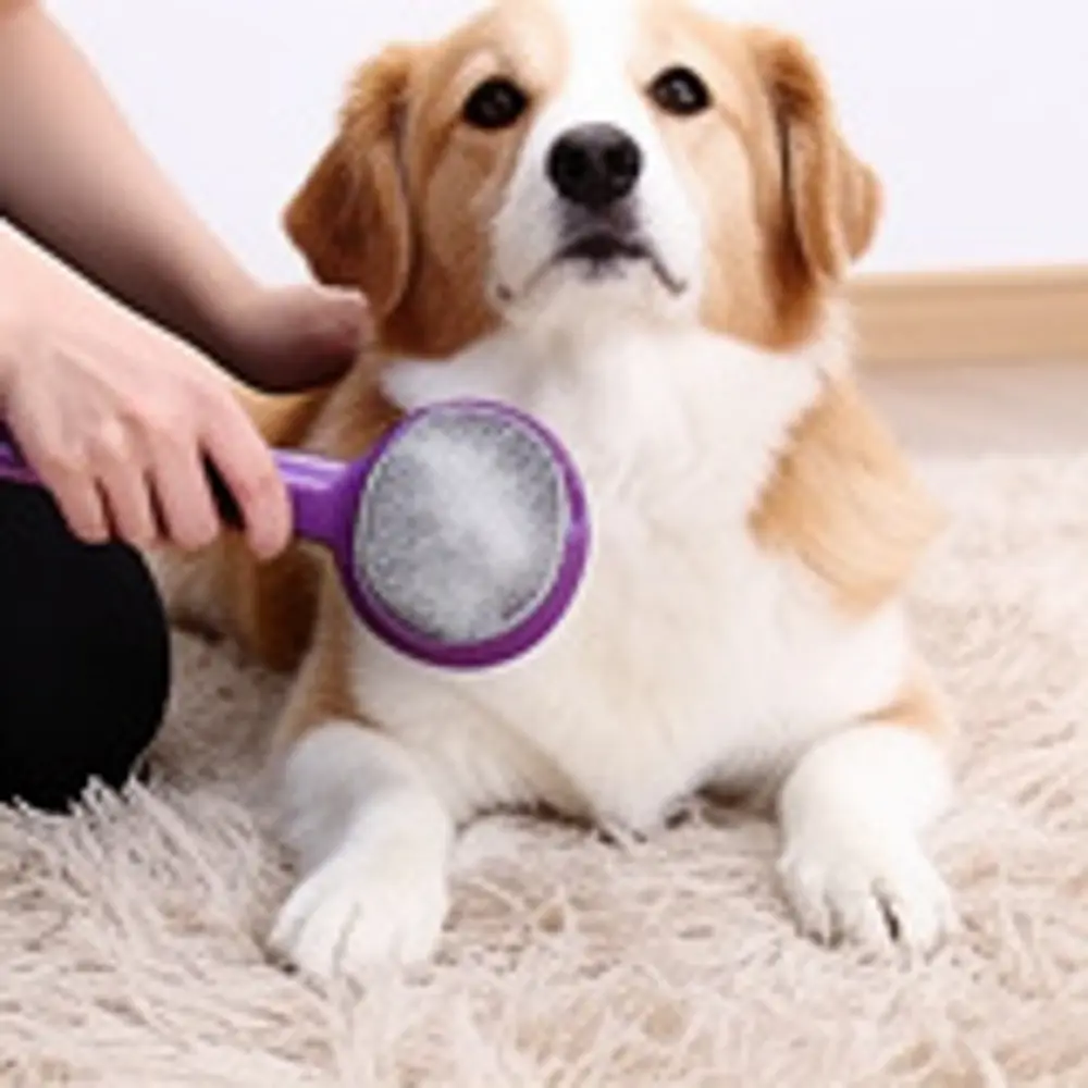 Runaway Evcil Hayvan Tüy Temizleyici - Çok Fonksiyonlu Fırça