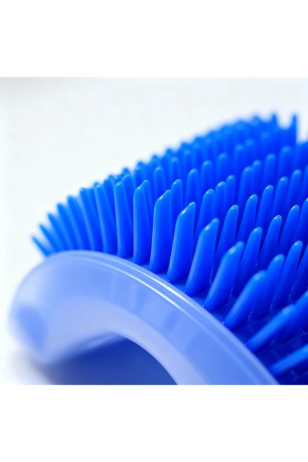 Runaway Kedi Kaşınma Aparatı Masaj Etkili Duvar Kaşıyıcı