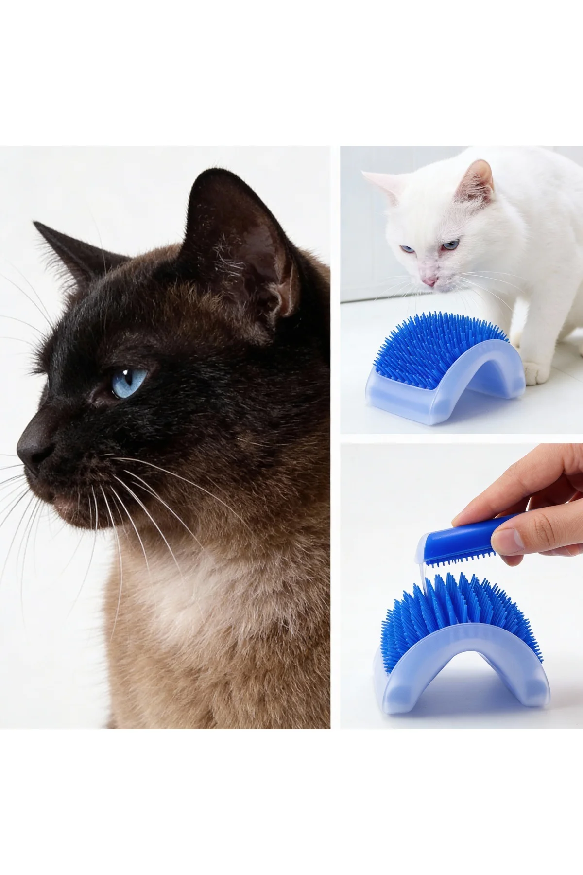 Runaway Kedi Kaşınma Aparatı Masaj Etkili Duvar Kaşıyıcı